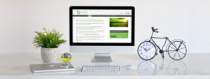 Website-Design