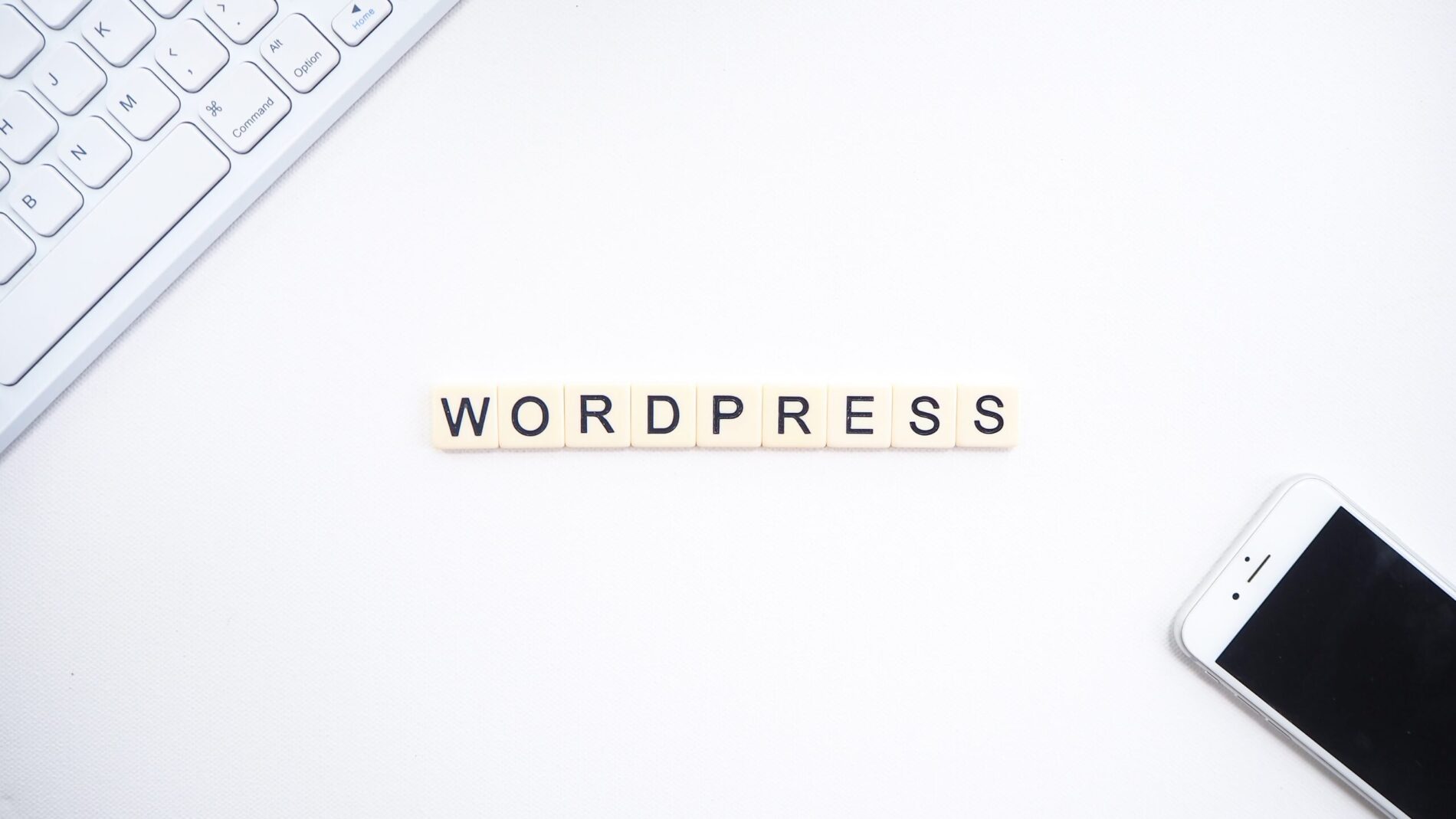 5 Tips To Boost Your WordPress Website SEO