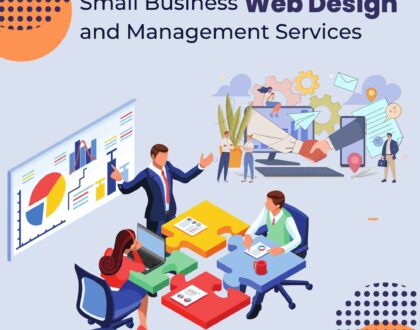 Small Business Web Design and Management Services