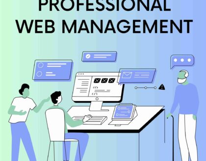 Professional Web Management